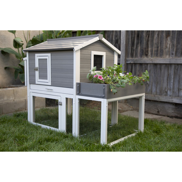 Tucker Murphy Pet™ Fellers ECOFLEX® Chicken Coop with Chicken Run and